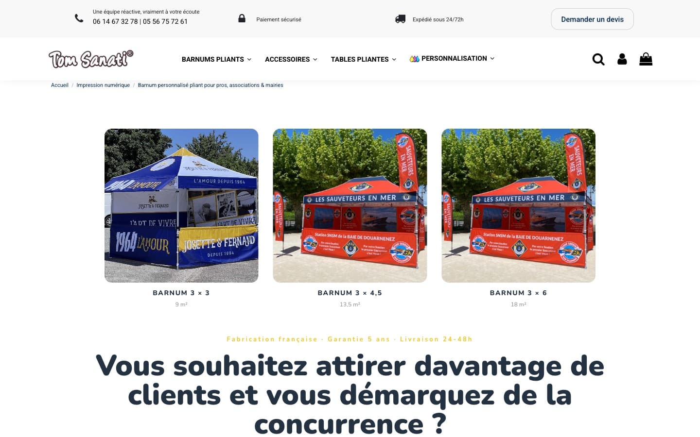 Aperçu du site Tom Sanati